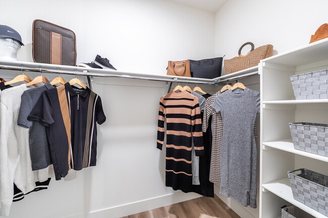 Expansive closets with shelving