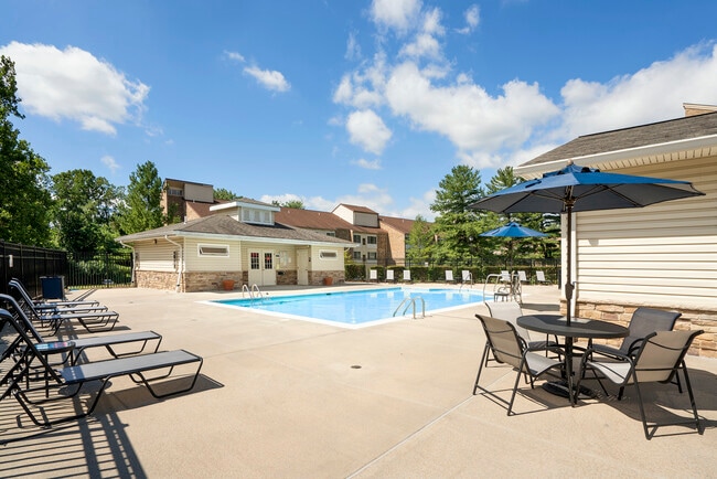 Pool - The Apartments at Elmwood Terrace