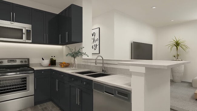 Kitchen / Living Open Concept