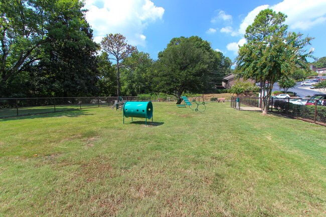Dog Park
