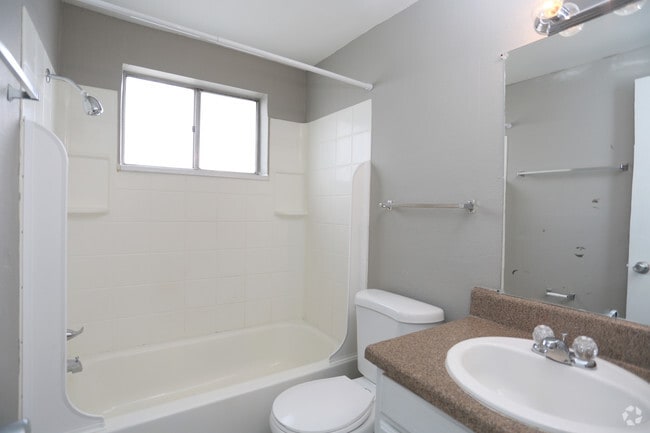 1BR, 1BA - Michigan Avenue