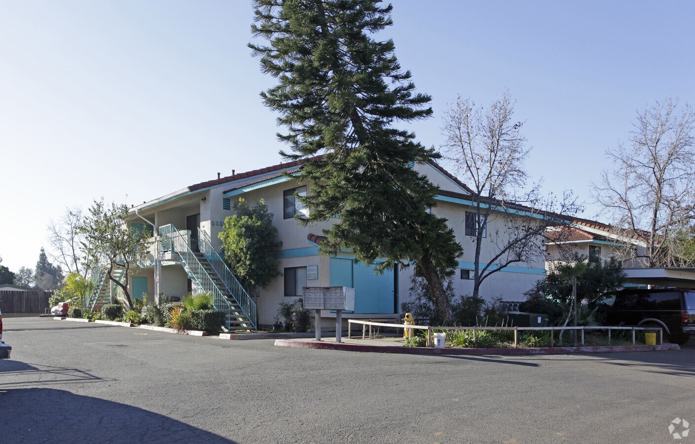 Photo - Star Pine Apartments