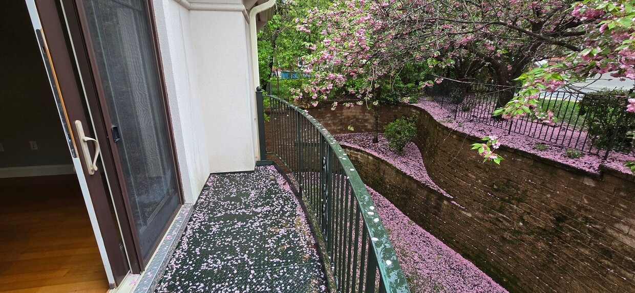 Photo - 558 E Merrimack St (Lowell, MA)