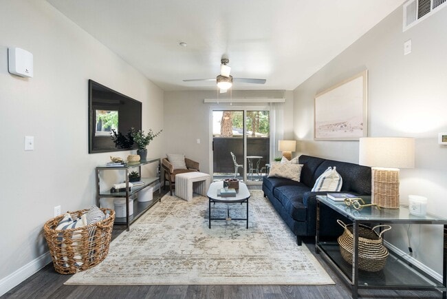 Photo - Amara Spring Valley