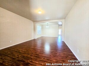 Photo - 12239 Painted Daisy