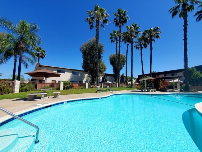Photo - Paseo Del Prado Apartments