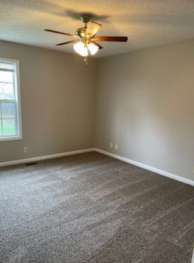 440 Terrier Way