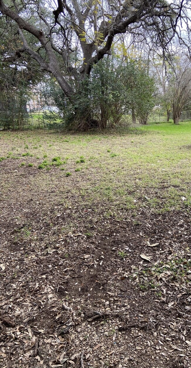 Photo - 1101 N Wall St