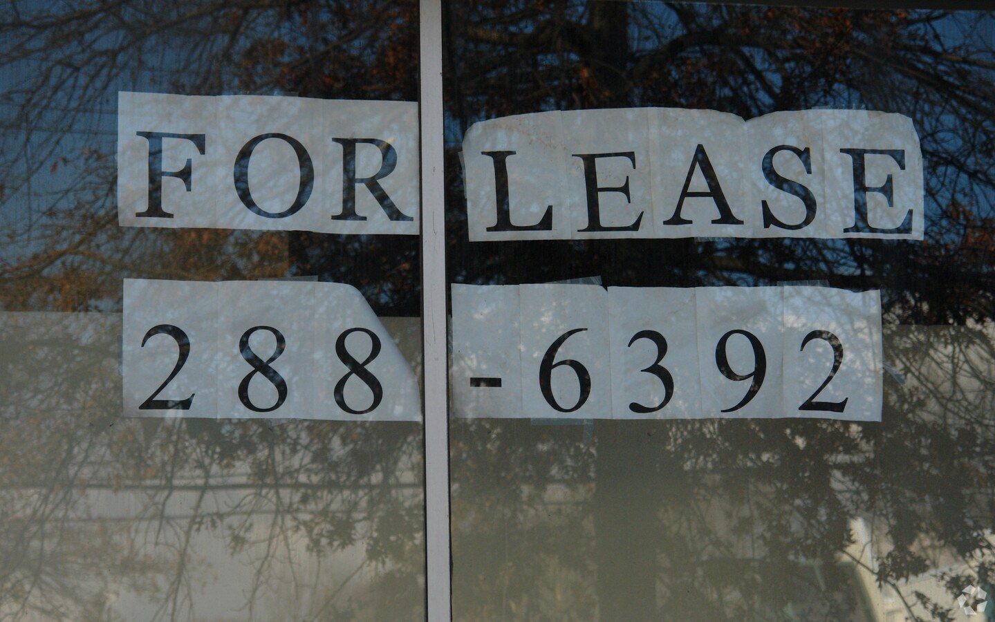 Photo - 366 Whalley Ave