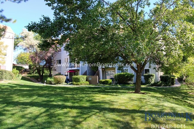 Photo - Beautiful 2 bed 2 bath Condo