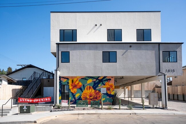 Photo - LIV @ Siesta