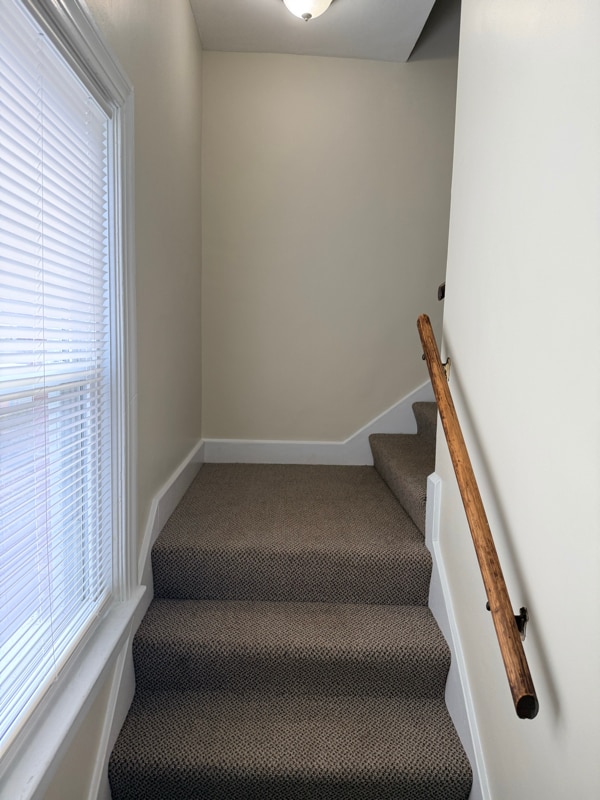 Photo - 217 Norbourne Blvd