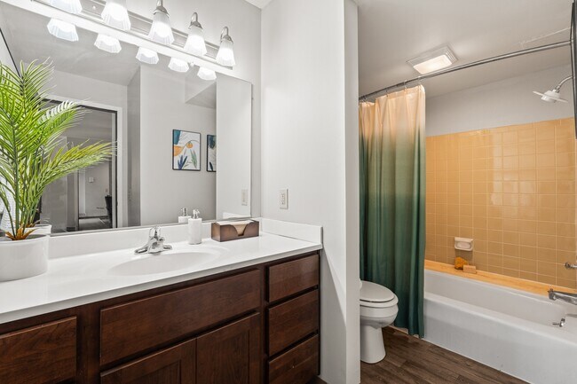 Valley View Apartments Bathroom - Valley View Apartments