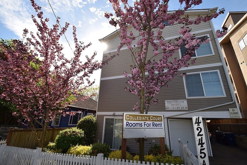 Photo - Collegiate Court 1 Apartments
