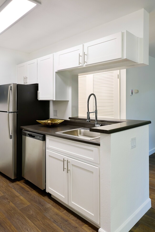 Photo - Monte Vista Apartments