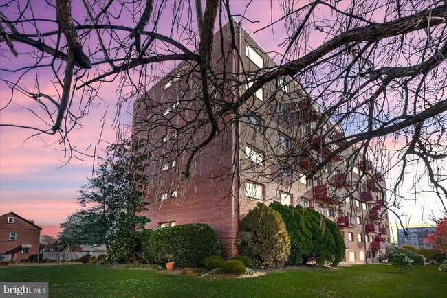 Building Photo - 1830 Columbia Pike Unit 115 Rental
