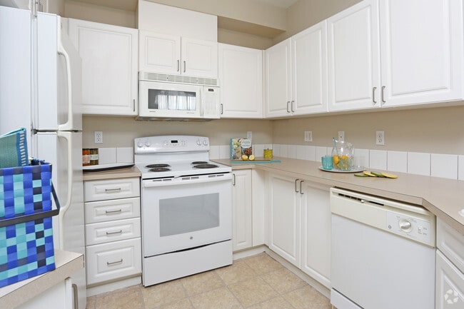 Modern, light, bright kitchen