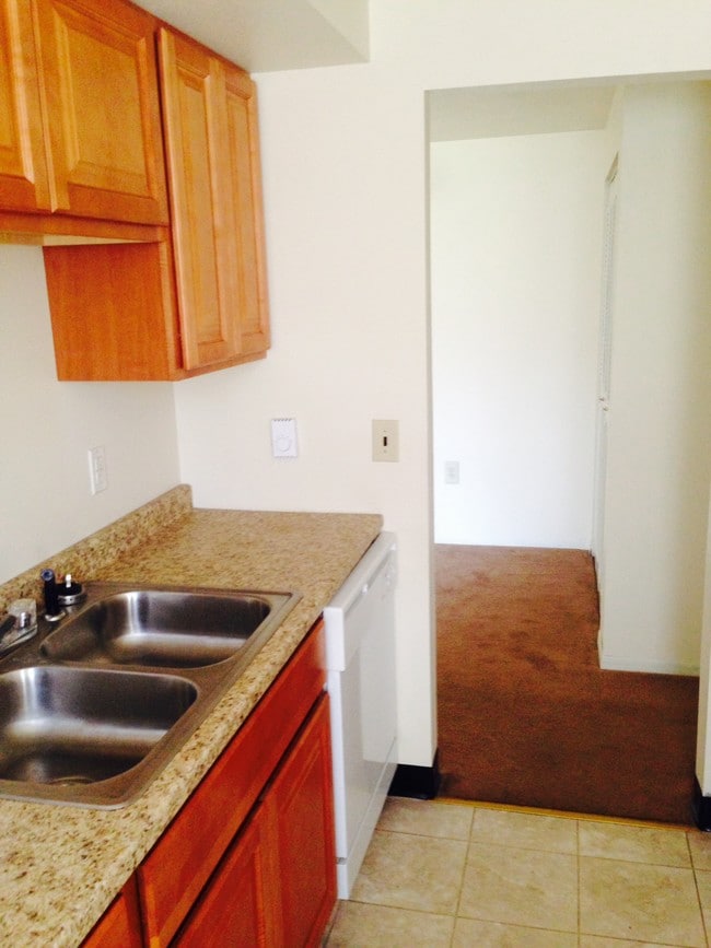 Manor Village Apartments Bath, NY