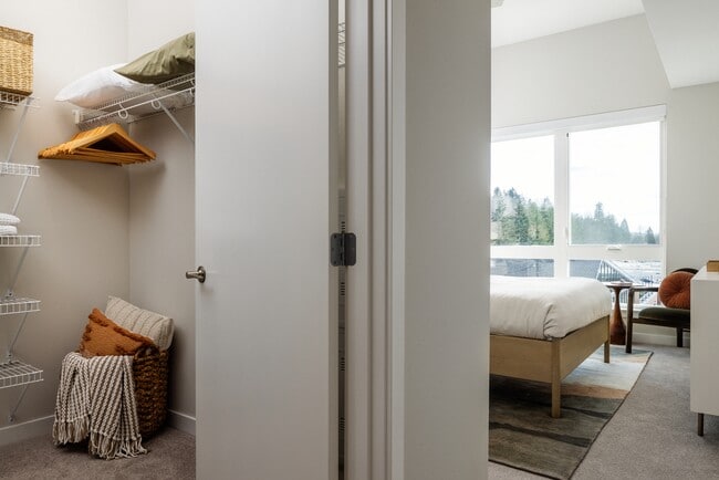 Walk-in closet