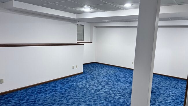 Basement - 146 Carson Ct