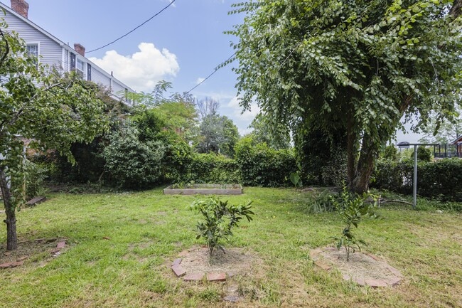 Photo - 207 Oliver St