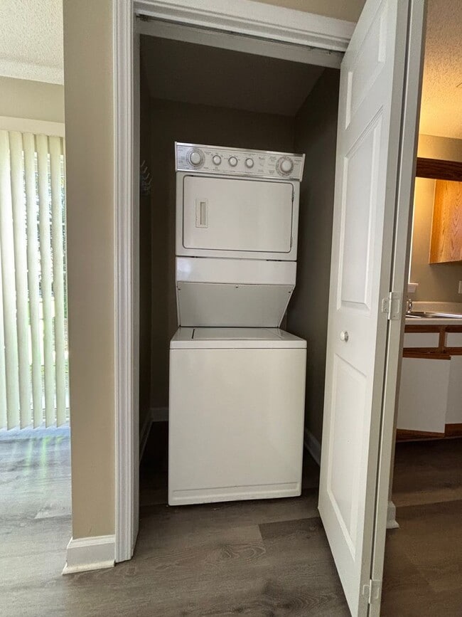 Photo - A Treasure in Pirates Cove