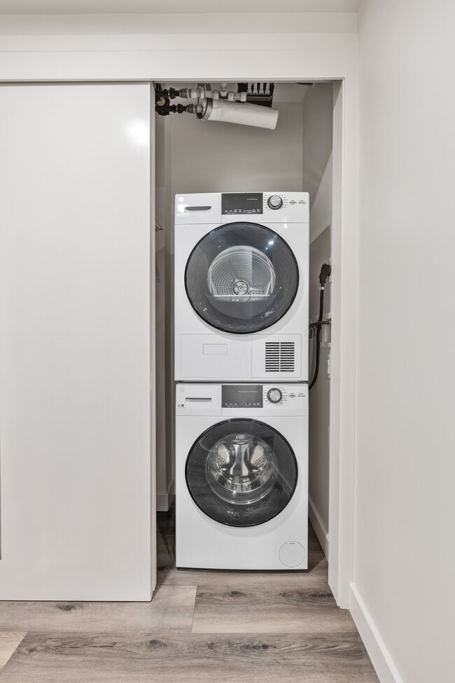 Photo - Ace Berkeley