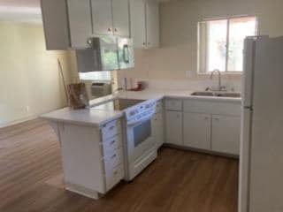 Photo - Casa Anita Apartments