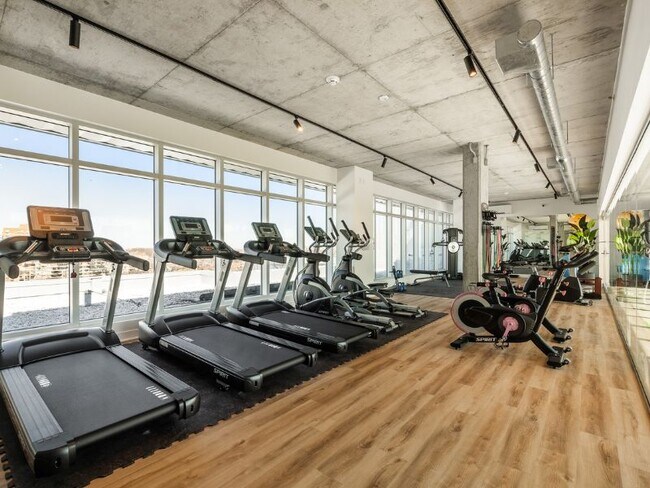 Photo - Mostra Maisonneuve