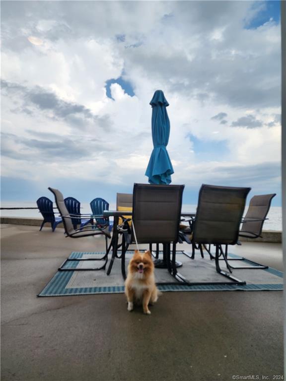 953 Fairfield Beach Rd Rental House Rental in Fairfield, CT