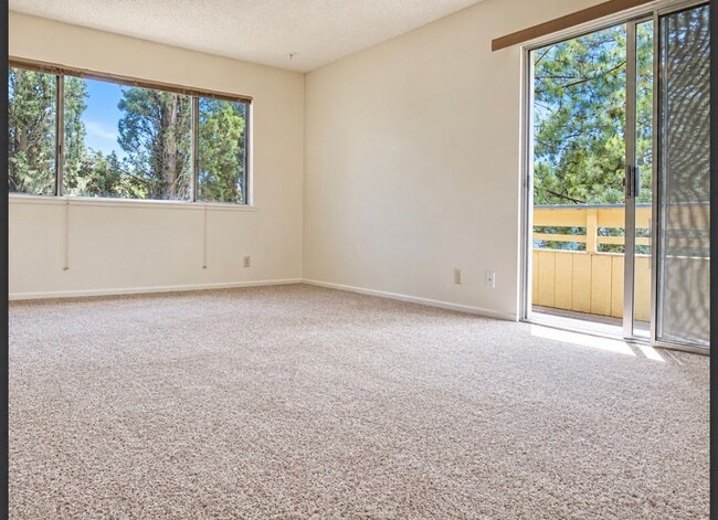 331 Northstar Pl Unit 4