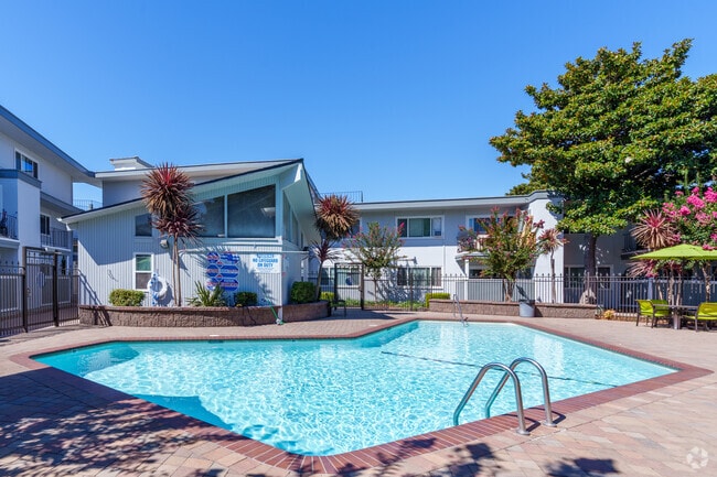 Pool - Pentagon Apartments