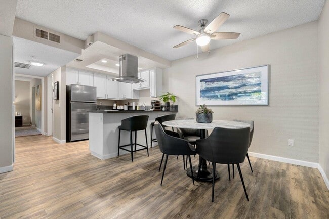 Photo - Chloe on Cirby