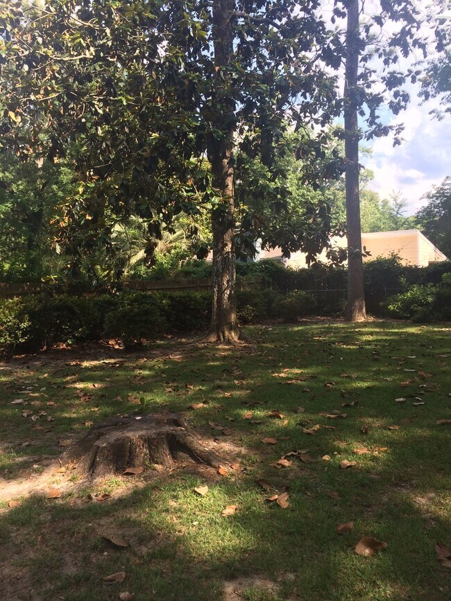 3/2 Killearn Home Available April 10, 2024 - 3/2 Killearn Home Available April 10, 2024