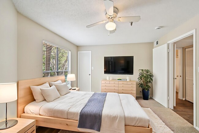 Building Photo - Palm Cove Apartments