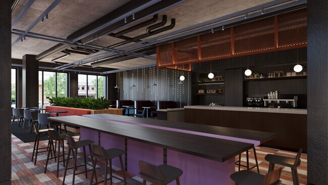 Hub Raleigh