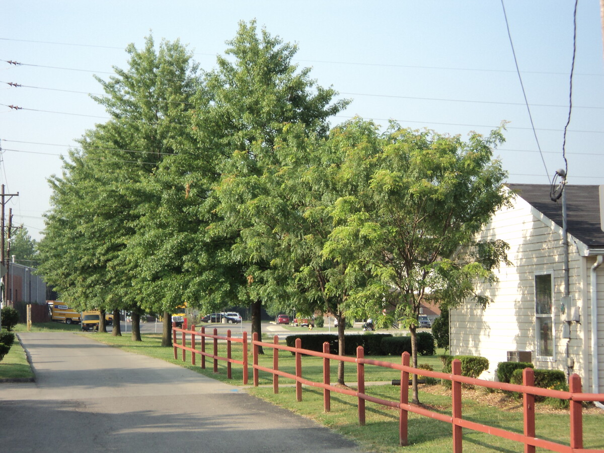 Bradford Pointe Apartments - Bradford Pointe Apartments