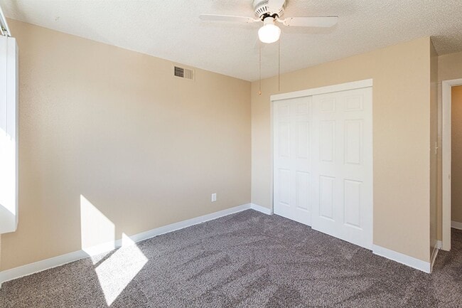 Photo - Prospect Park