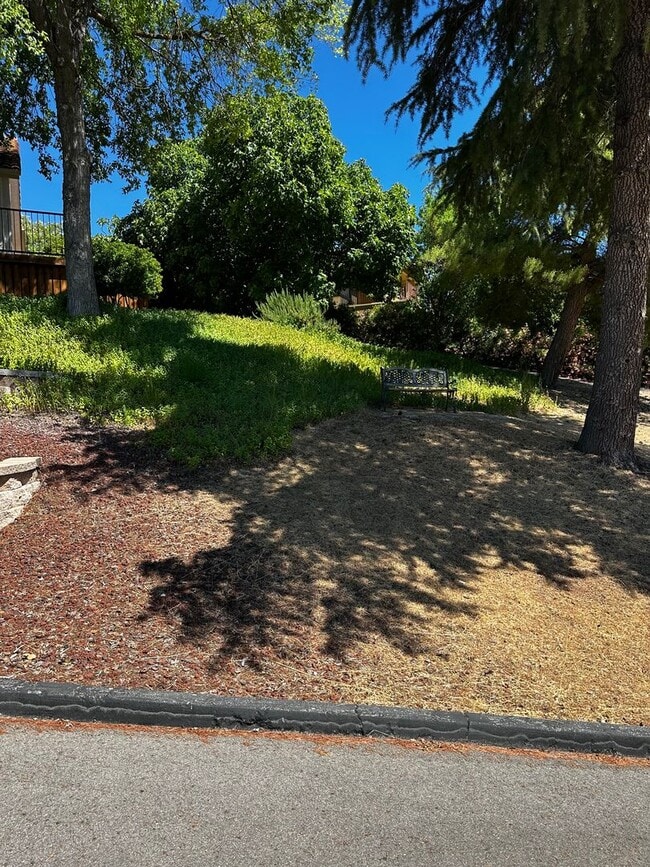 Photo - El Dorado Estates!