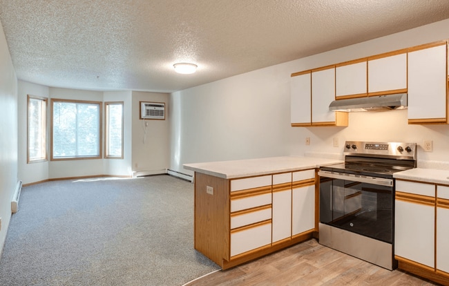 Kitchen with stainless steel appliances