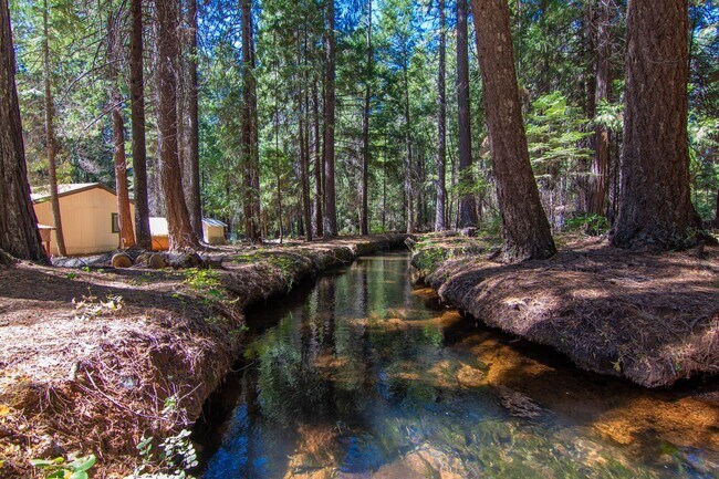 Photo - Furnished Shingletown Home with Horse Corr...