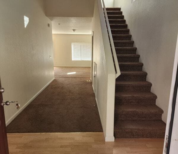 Photo - 931 Wild Rose Ct