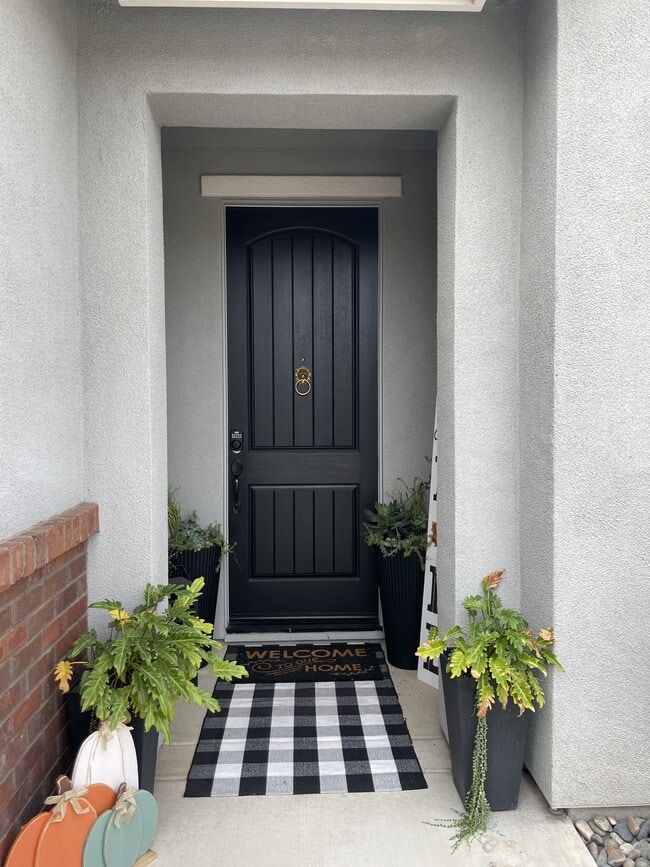 Photo - 3119 Adriana Ln