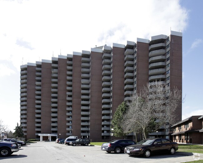 Photo principale - Robin Hood