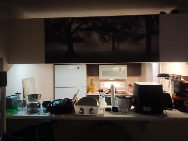 Photo - 9523 University Terrace Dr Unidad M