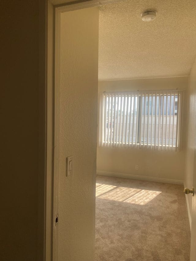 202