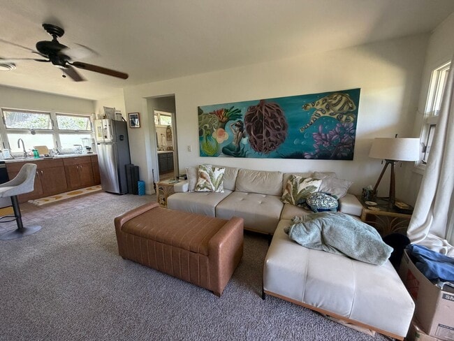 Photo - Napili One Bedroom