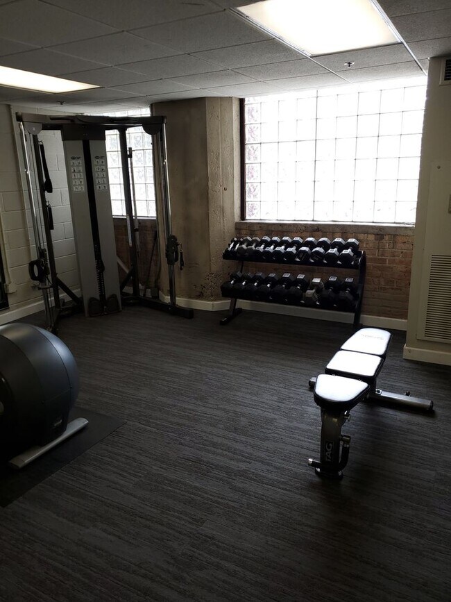 Photo - South Loop Chicago 1 Bed 1 Bath Apartment