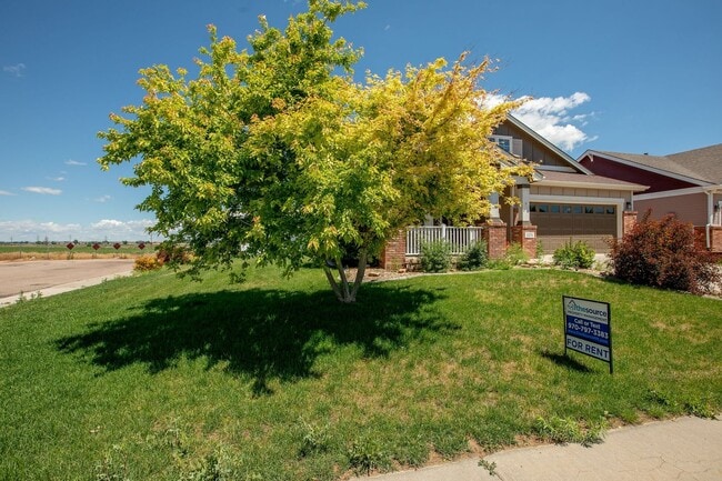 Photo - 5 Bedroom Home in Windsor Colorado
