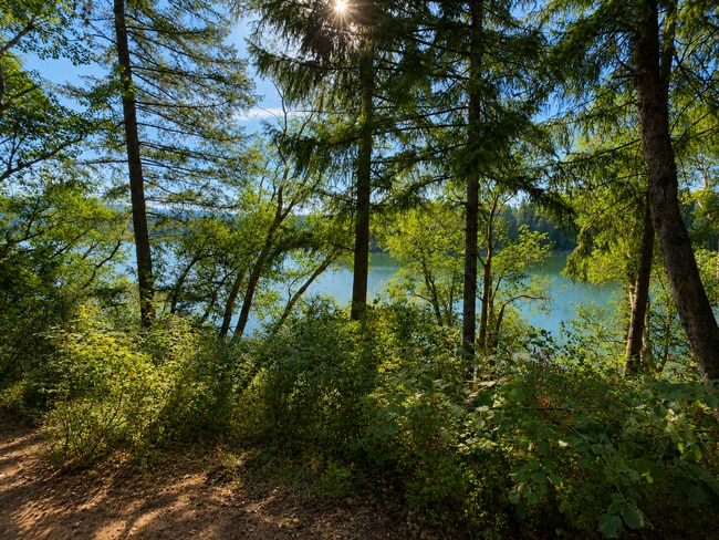 Photo - 17805 Overlake Ct SE